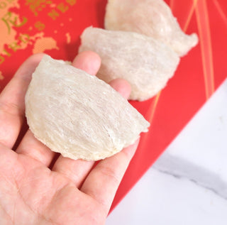 Indonesian Dragon Tooth Premium Extra-Large Bird's Nest 250g