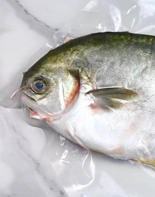 Miiiome™ Golden Pomfret Whole Fish (Fresh) 400g