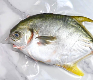 Miiiome™ Golden Pomfret Whole Fish (Fresh) 400g