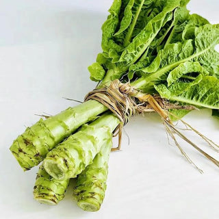 Chinese Celtuce 1 Stick