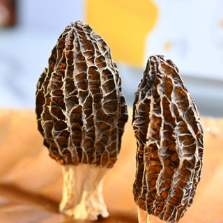 Yunnan Premium XL Morel Mushrooms