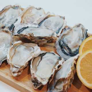 Japanese Premium Medium-Sized Oysters 4pcs