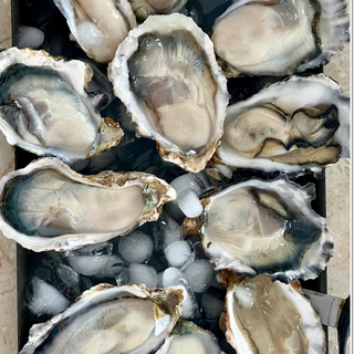Japanese Premium Medium-Sized Oysters 4pcs