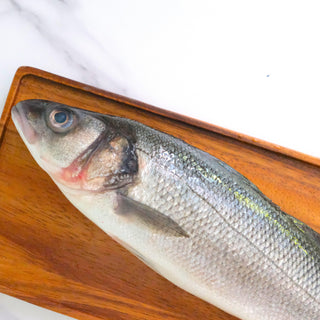 Spanish Atlantic Seabass 400/600g