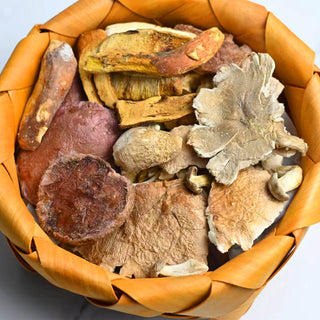 Wild Assorted Mushroom Freeze Dried 25g