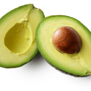 Australia Shephard Avocado Medium Size 3pc