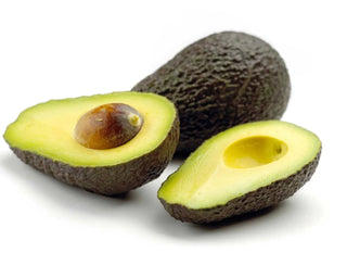 Australia Shephard Avocado Medium Size 3pc