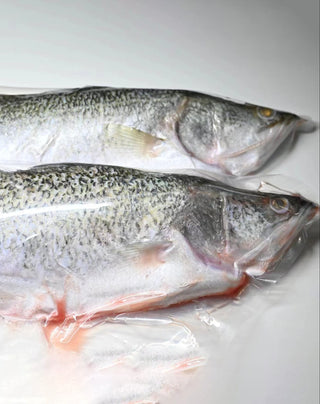 Miiiome™ Barramundi Whole Fish (Frozen) 600-750g