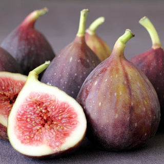 South American Big Fig 4pc 160g