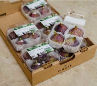 South American Big Fig 4pc 160g