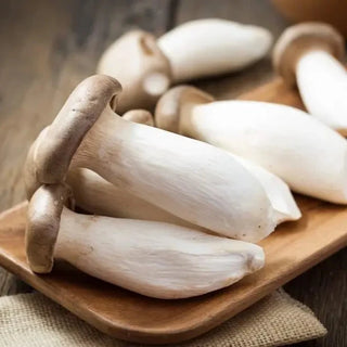 Chinese King Oyster Mushroom 200g