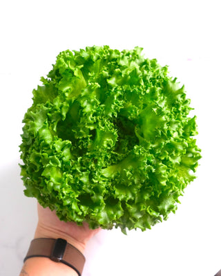 Green Crystal Lettuce 150g