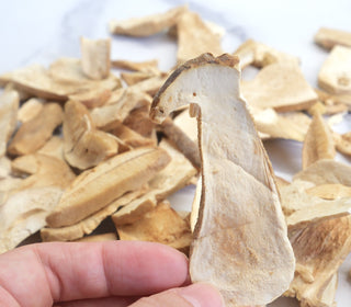 Wild Porcini Mushrooms Freeze-Dried 25g