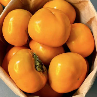 New Zealand Persimmon 2pcs