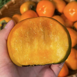 New Zealand Persimmon 2pcs