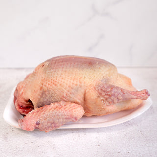 French Pigeon 350g
