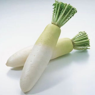 Chitose's Daikon (White Radish) 600g