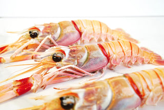Premium New Zealand Scampi Langoustine 450-500g
