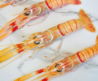 Premium New Zealand Scampi Langoustine 450-500g