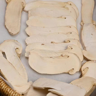 Premium Matsutake Mushroom Freeze Dried Mid Section Slice 20g