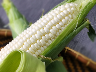 Chitose's Sweet Corn 1PC 300g