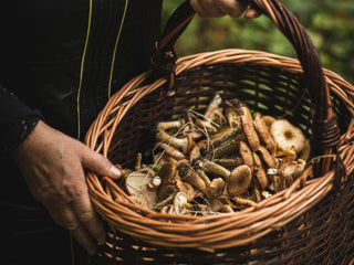 The Mushrooms Yunnan Waits All Year For — A Singapore Cook's Guide to Eating Them Well