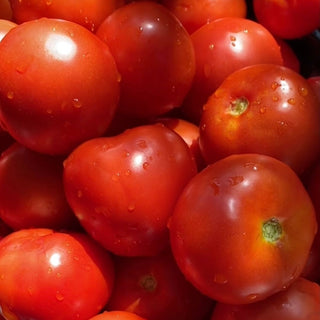 Organic Tomato 300g - Malaysia