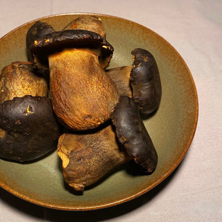 Fresh Yunnan Porcini Mushroom | Airflown 1KG / Box