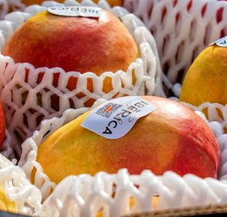 Spanish Osteen Mangoes 2pc