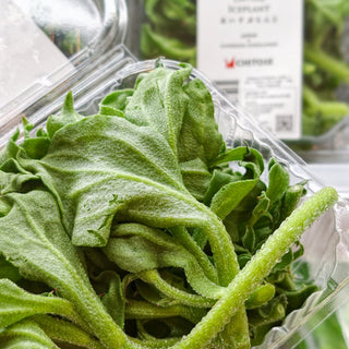Chitose's Ice Plant 100g