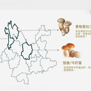 Yunnan Wild Mushroom Mooncakes · 6pcs Assorted