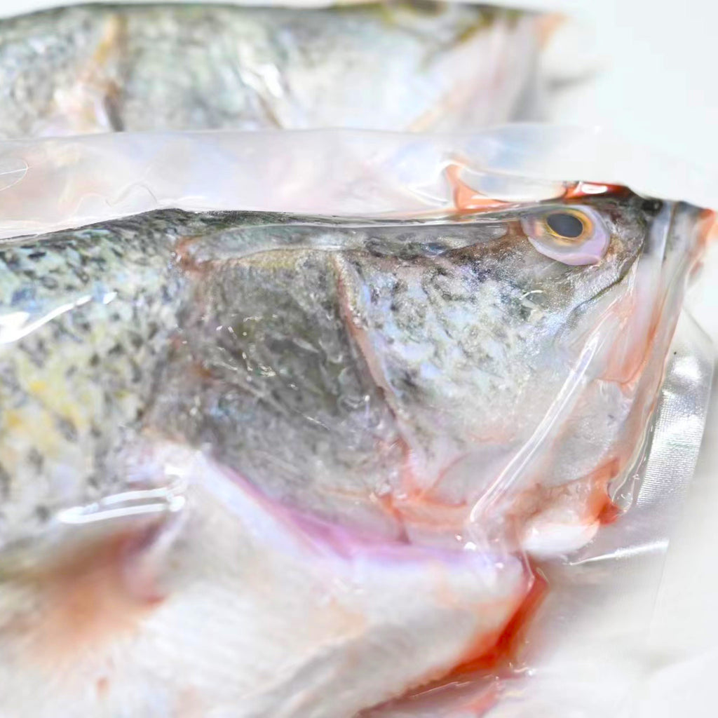Frozen Whole Miiiome™ Barramundi Fish 600–750g – Miss A's Handpick Fine ...