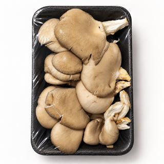 Fresh Blue Oyster Mushroom 140g tray on a clean white background