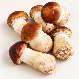 Fresh Himematsutake mushrooms on a clean light background