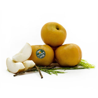 Korean Singo Pear Jumbo Size 2pcs/Set