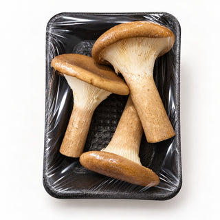 Fresh Pig Stomach Mushroom, 140g tray