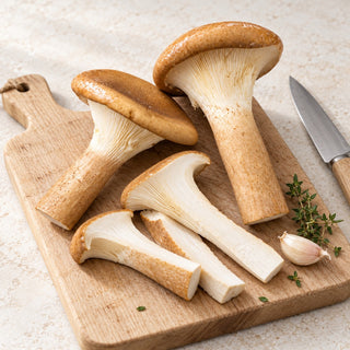 pig stomach mushroom preparation illustration on a clean chopping board; other ingredients and utensils are serving suggestions, not included