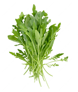 Chitose's Mizuna Salad Rocket 200g