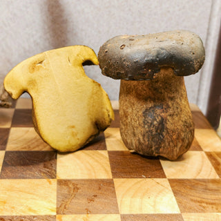 Whole and cut black boletus showing yellow interior, real photo, gently brightened