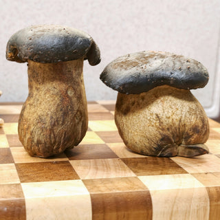 Two fresh Yunnan black boletus mushrooms, real photo, gently brightened
